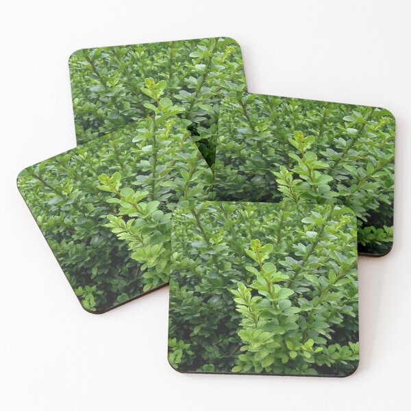 Item preview, Japanese boxwood 1 original artwork designed and sold by paragonDesign28.