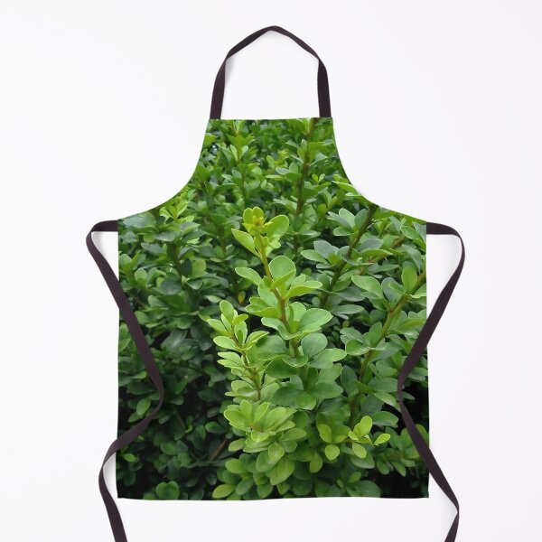 Item preview, Japanese boxwood 1 original artwork designed and sold by paragonDesign28.