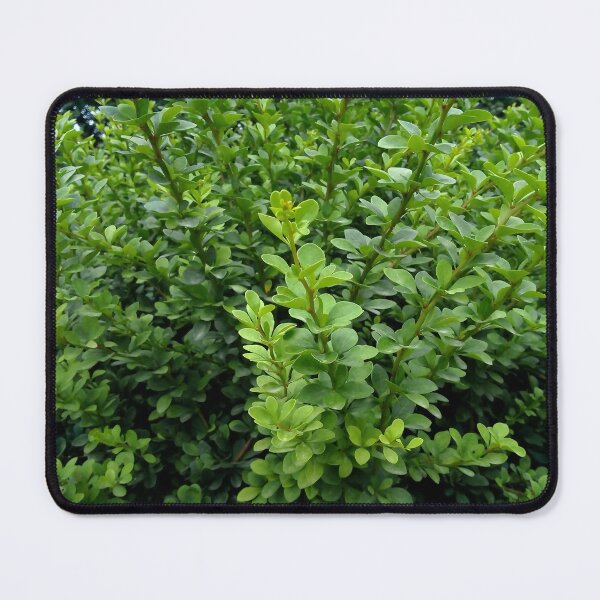 Item preview, Japanese boxwood 1 original artwork designed and sold by paragonDesign28.