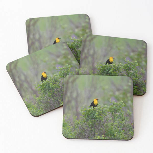 Item preview, Yellow Headed Blackbird  designed and sold by Cblifeisgood.