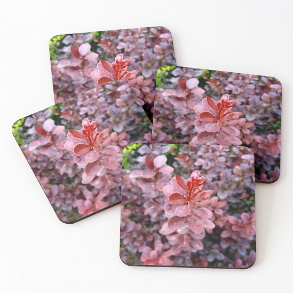 Item preview, Japanese barberry original artwork designed and sold by paragonDesign28.