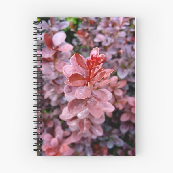 Item preview, Japanese barberry original artwork designed and sold by paragonDesign28.