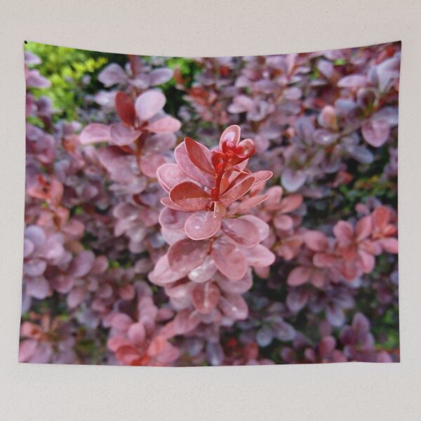 Item preview, Japanese barberry original artwork designed and sold by paragonDesign28.
