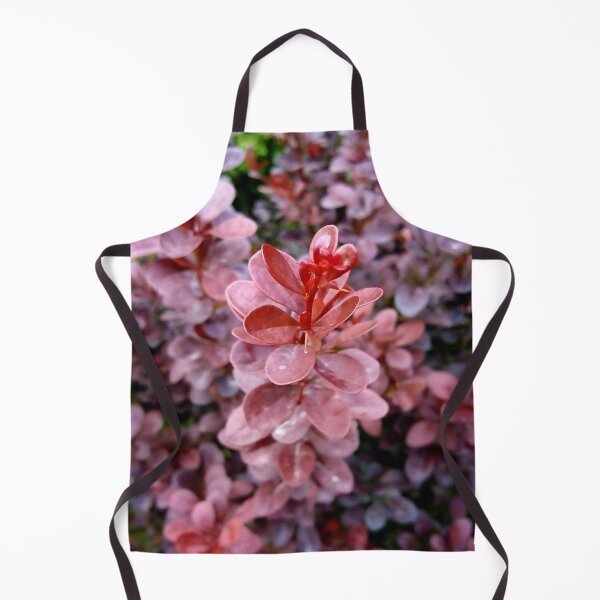 Item preview, Japanese barberry original artwork designed and sold by paragonDesign28.