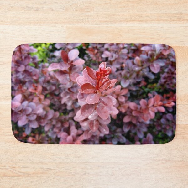 Item preview, Japanese barberry original artwork designed and sold by paragonDesign28.