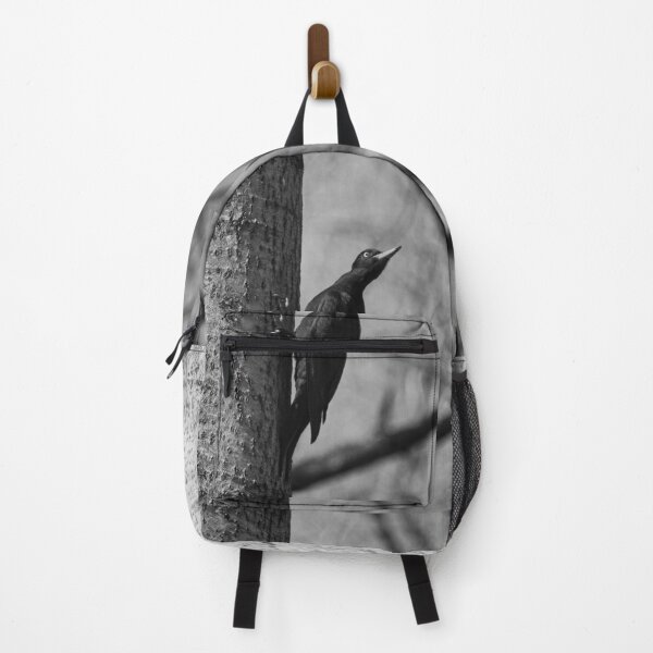 Item preview, Ready to take off.  Black woodpecker bw designed and sold by Jouko Lehto Photography.