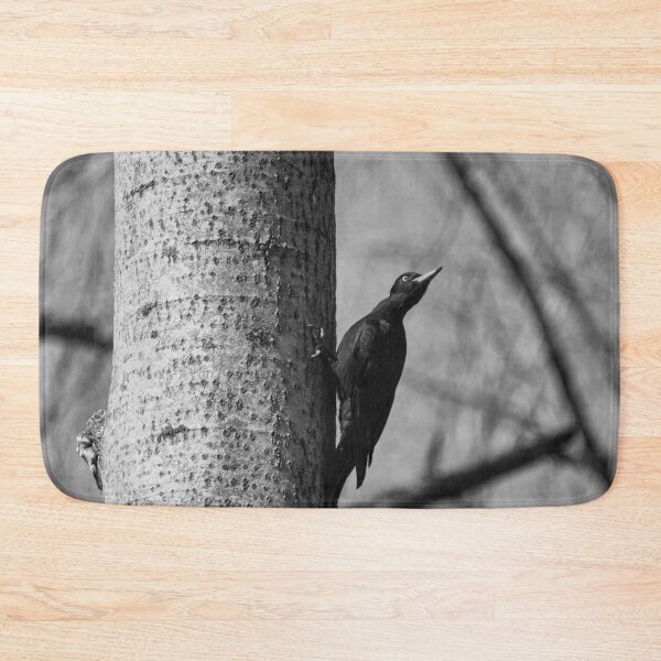 Item preview, Ready to take off.  Black woodpecker bw designed and sold by Jouko Lehto Photography.