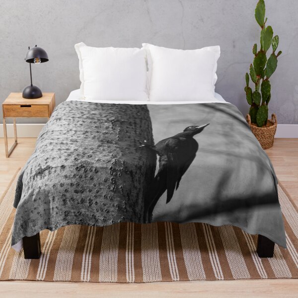 Item preview, Ready to take off.  Black woodpecker bw designed and sold by Jouko Lehto Photography.
