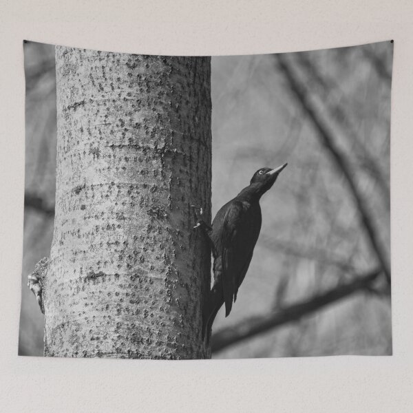 Item preview, Ready to take off.  Black woodpecker bw designed and sold by Jouko Lehto Photography.