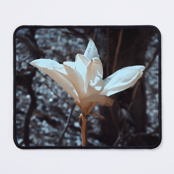 Item preview, Magnolia in IR designed and sold by Cblifeisgood.