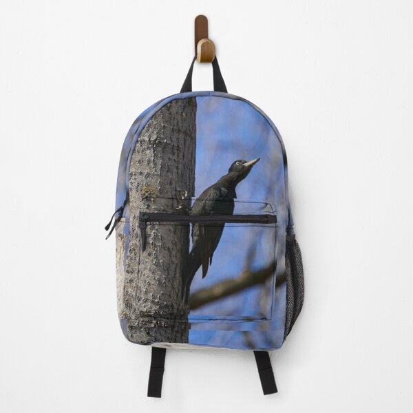 Item preview, Ready to take off.  Black woodpecker designed and sold by Jouko Lehto Photography.