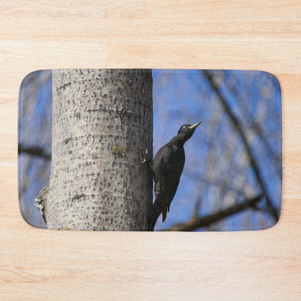 Item preview, Ready to take off.  Black woodpecker designed and sold by Jouko Lehto Photography.