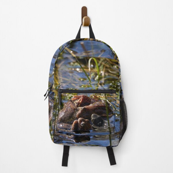 Item preview, Playing the spring balls. European brown frog designed and sold by Jouko Lehto Photography.