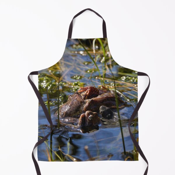 Item preview, Playing the spring balls. European brown frog designed and sold by Jouko Lehto Photography.
