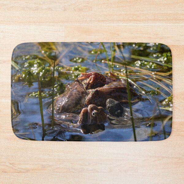 Item preview, Playing the spring balls. European brown frog designed and sold by Jouko Lehto Photography.