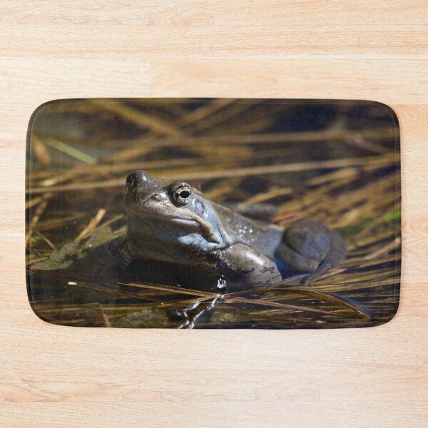 Item preview, The guardian of the future. . European brown frog designed and sold by Jouko Lehto Photography.