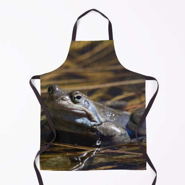 Item preview, The guardian of the future. . European brown frog designed and sold by Jouko Lehto Photography.