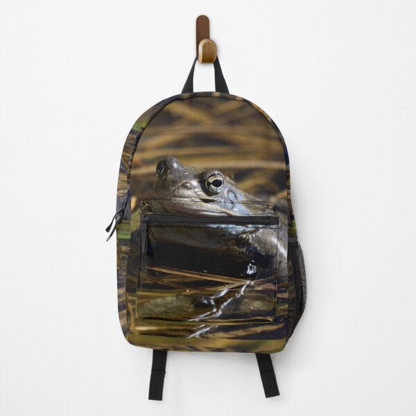 Item preview, The guardian of the future. . European brown frog designed and sold by Jouko Lehto Photography.