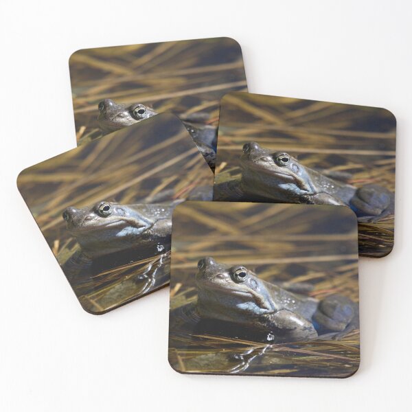 Item preview, The guardian of the future. . European brown frog designed and sold by Jouko Lehto Photography.