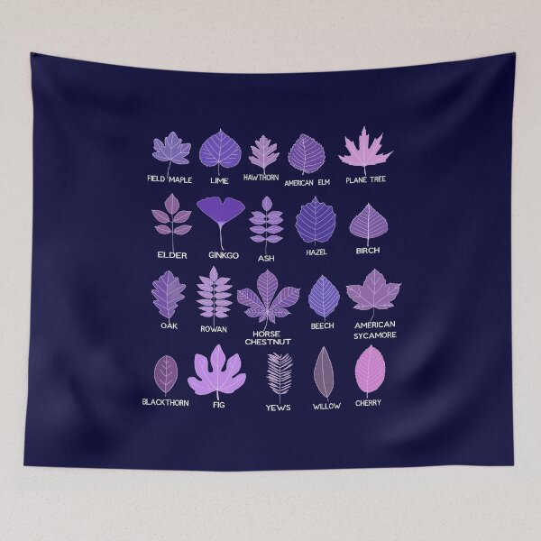 Item preview, Different Types of Tree Leaves, Common Leaves, Nature Lovers designed and sold by Tamarage.