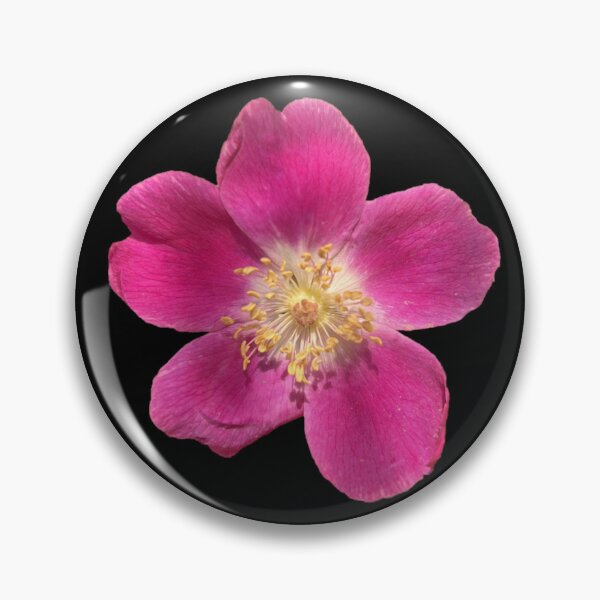 Item preview, Pretty in Pink designed and sold by ascherf.