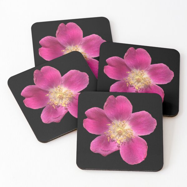 Item preview, Pretty in Pink designed and sold by ascherf.