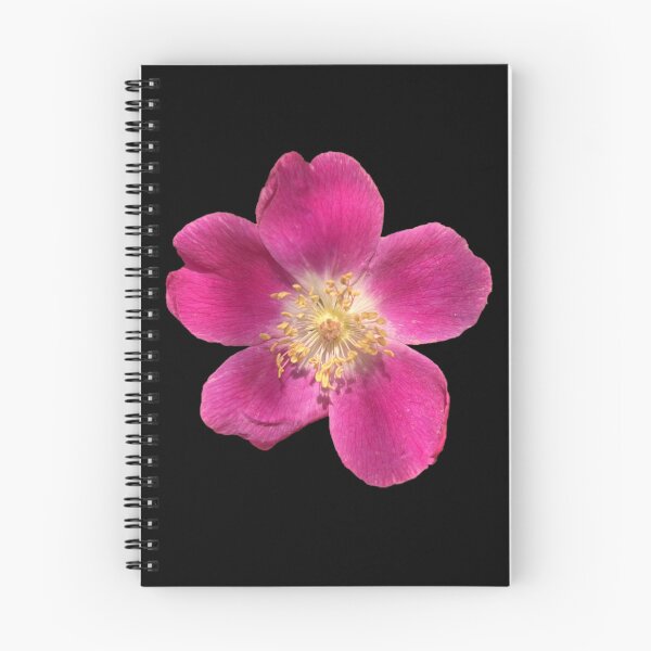 Item preview, Pretty in Pink designed and sold by ascherf.