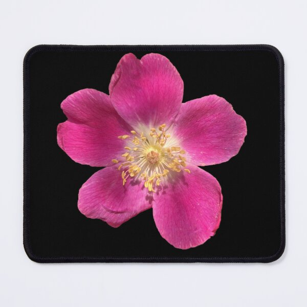 Item preview, Pretty in Pink designed and sold by ascherf.