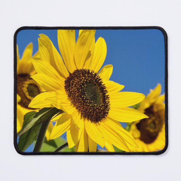 Item preview, Common yellow sunflower  designed and sold by Cblifeisgood.