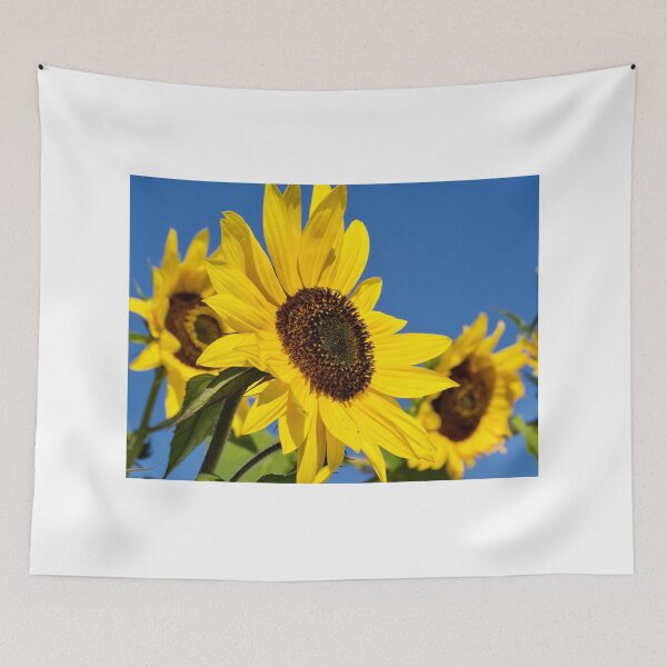 Item preview, Common yellow sunflower  designed and sold by Cblifeisgood.