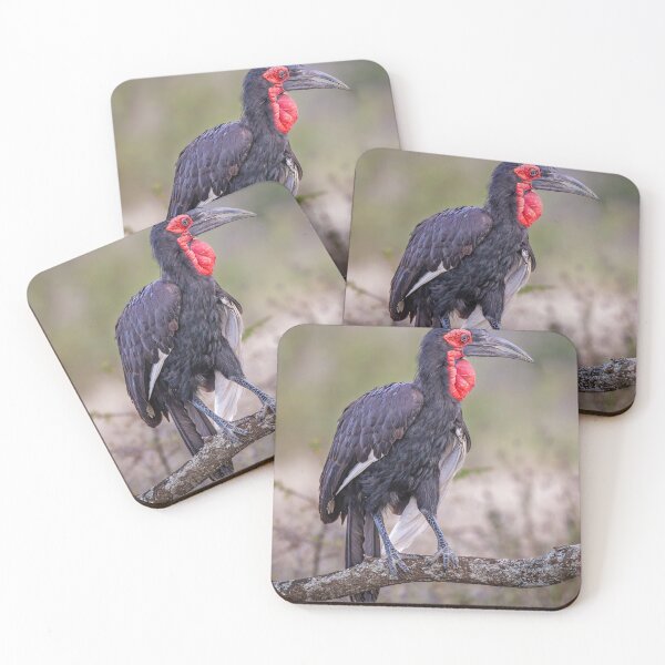 Item preview, Southern Ground Hornbill Perched Tanzania Africa designed and sold by PhotoArt by Joan Carroll.