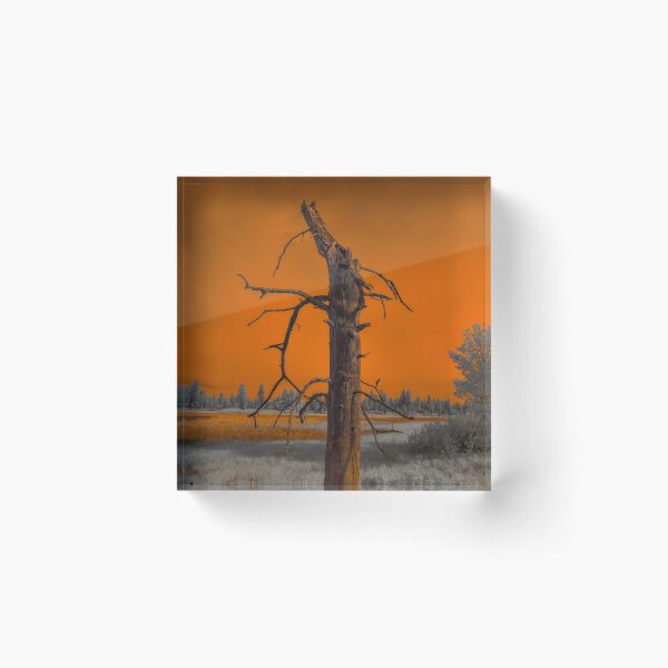 Item preview, Wildfire Sky Series Photo 3 designed and sold by Cblifeisgood.