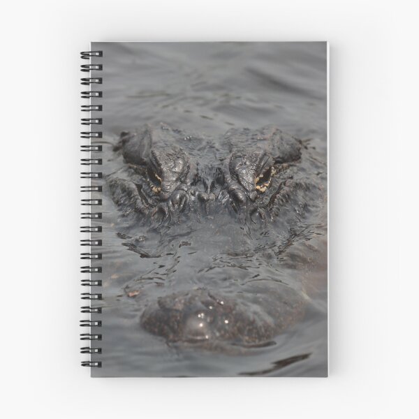 Item preview, American Alligator Close-Up designed and sold by thatpersonsoph.