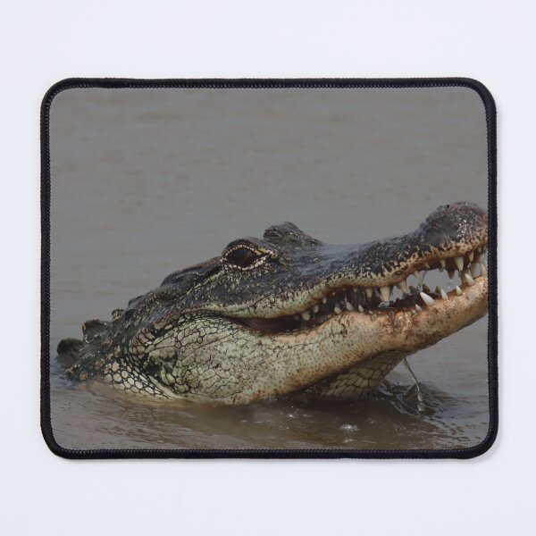 Item preview, Big Gator Gives Big Grin  designed and sold by thatpersonsoph.