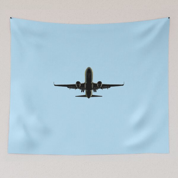 Item preview, Passenger aircraft designed and sold by sibosssr.