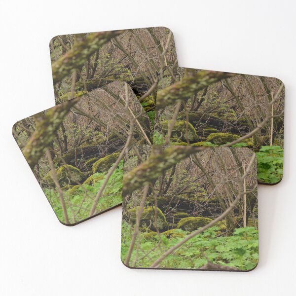 Item preview, Forest Paths designed and sold by kry.ative.