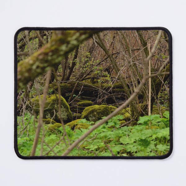 Item preview, Forest Paths designed and sold by kry.ative.