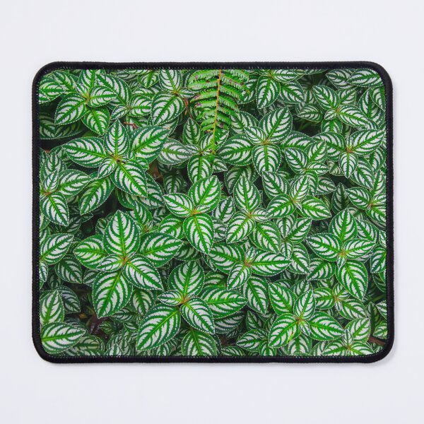 Item preview, Verdant Patterns designed and sold by DWPhoenix.