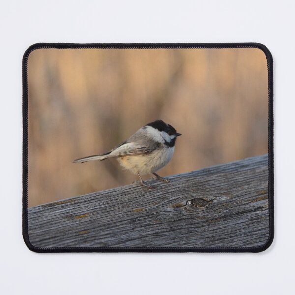 Item preview, Black Capped Chickadee designed and sold by kry.ative.