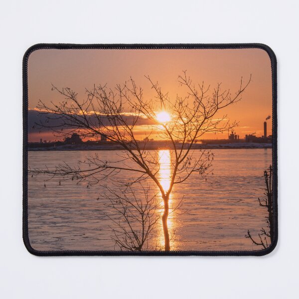 Item preview, Barren Tree Tries to Block the Sunset designed and sold by jrtwynam.