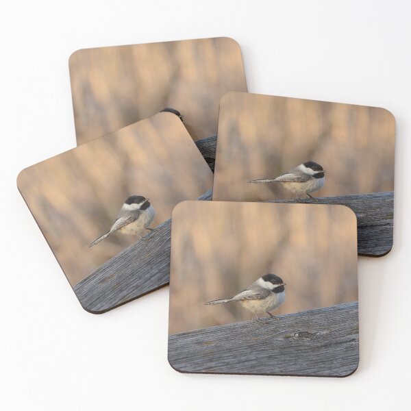 Item preview, Black Capped Chickadee designed and sold by kry.ative.