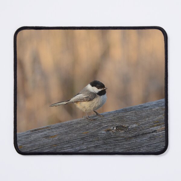 Item preview, Black Capped Chickadee designed and sold by kry.ative.