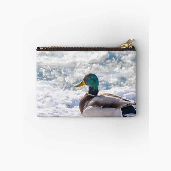Item preview, Mallard Duck Rests on the Snow in the Sun designed and sold by jrtwynam.