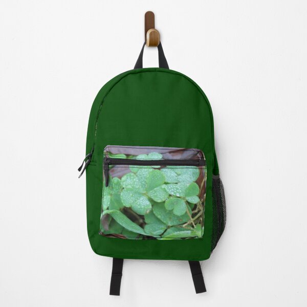 Item preview, Some Oxalis stricta. designed and sold by John Jacob Jingleheimer Schmidt.