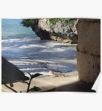 Lizard by the Seaside - Kenya Africa Poster