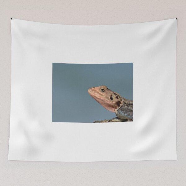 Item preview, Lizard in Blue - Kenya Africa designed and sold by exploramum.
