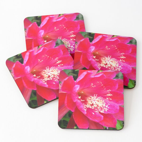 Item preview, Tropical Pink Flower Photograph designed and sold by ArtVixen.