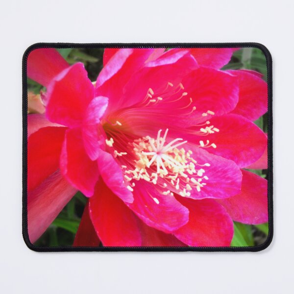 Item preview, Tropical Pink Flower Photograph designed and sold by ArtVixen.