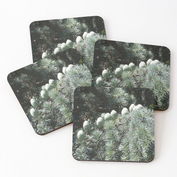 Item preview, Deodar Cedar at Midday designed and sold by gistinker.