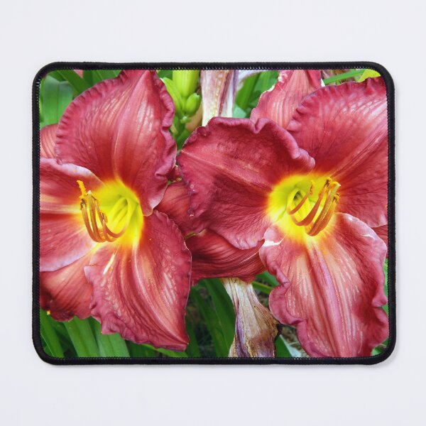 Item preview, Dual Red Day Lily designed and sold by gistinker.